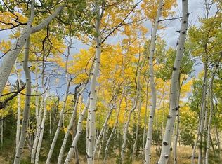 944 Brahma Cir #943, Hartsel, CO 80449