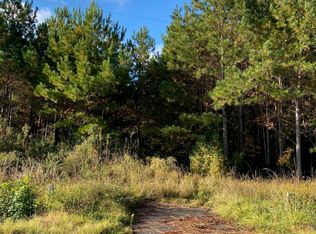 439 Springbranch Rd, Harleyville, SC 29448