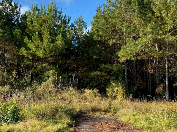 439 Springbranch Rd, Harleyville, SC 29448