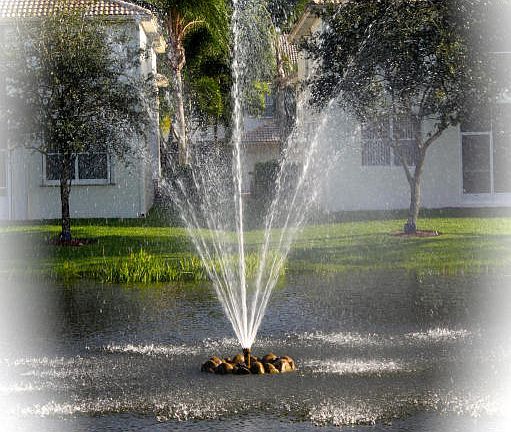 4th image of 7941 Laina Ln APT 4