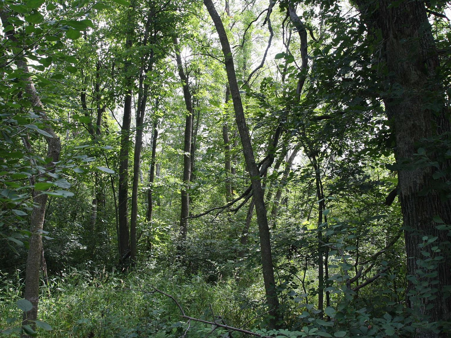 409th Ave NW, Braham, MN 55006 MLS 6438694 Zillow