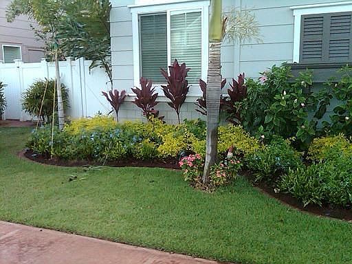 Landscaping in front