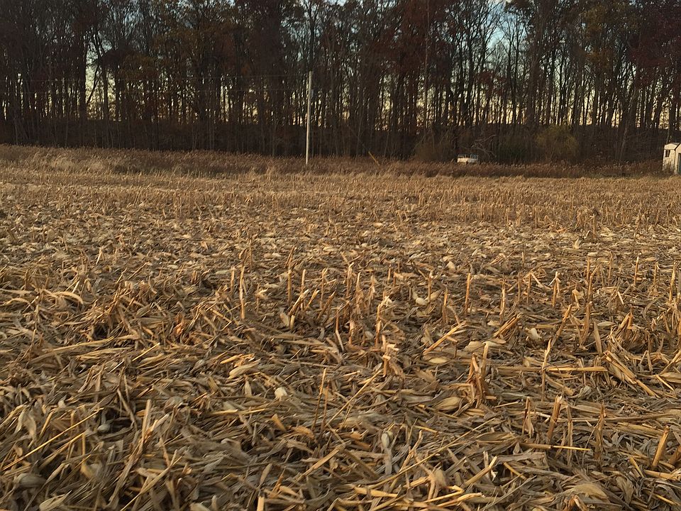 Being farmed now