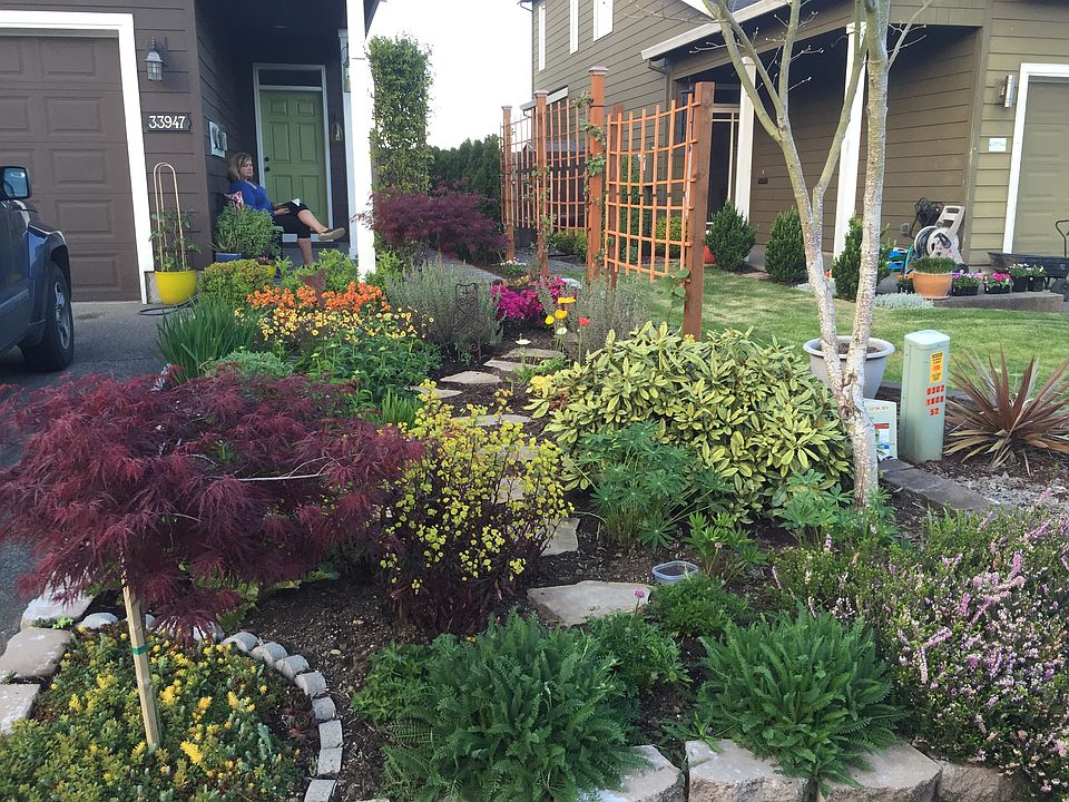 Front yard garden. 