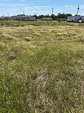 2nd image of 14783 Echo Pines Ct