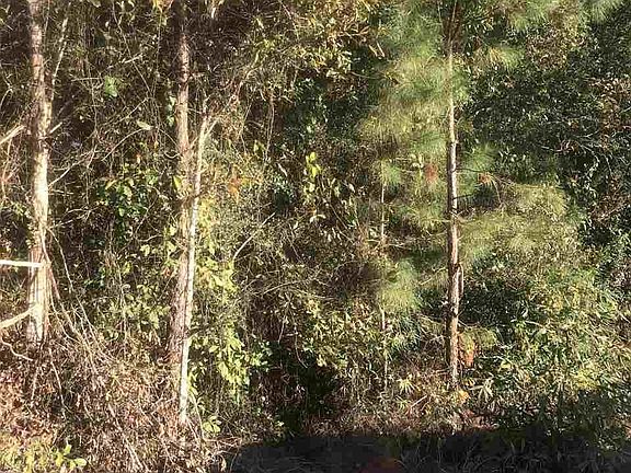 2nd image of 149 County Road 482