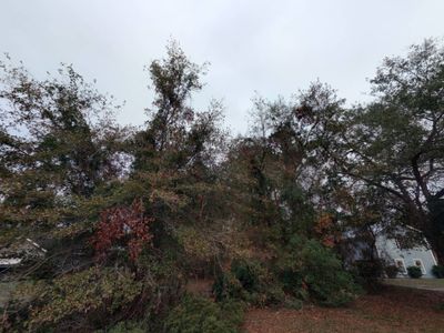 0 Laffites Way, Yulee, FL, 32097