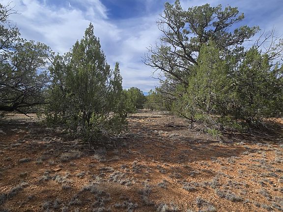 3rd image of 5476 N Forest Line Rd