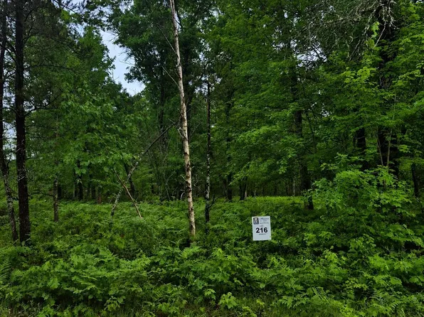 LOT 216 Deerpath Rd, Danbury, WI 54830