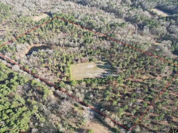 C County Rd #216, Beckville, TX 75631