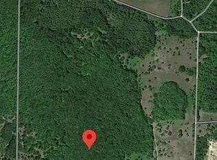 Perry Rd, Wolverine, MI 49799