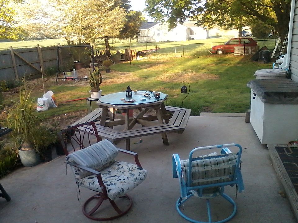 Patio  /  backyard