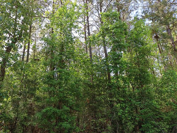 3rd image of Tbd Willard Taylor Rd