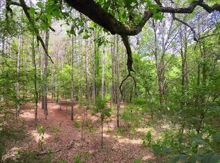 Scallions Rd, Cascilla, MS 38920