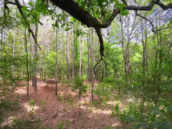 Scallions Rd, Cascilla, MS 38920