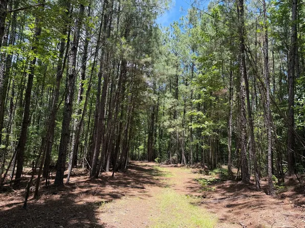 McAlister Rd, Buhl, AL 35446