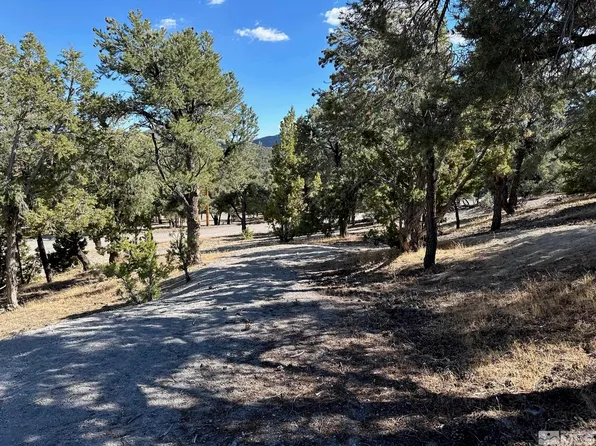 21530 Delta Dr, Reno, NV 89521