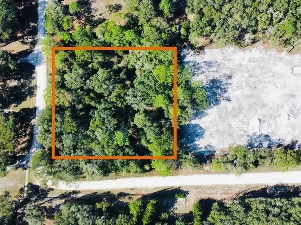NE 660th St Lot 34, Cross City, FL 32628