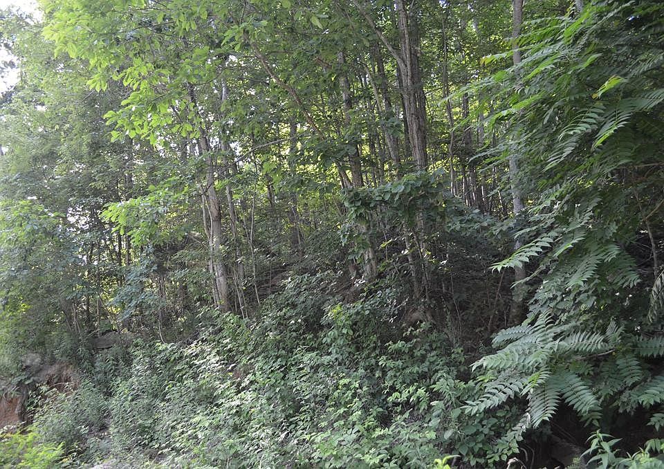 1st image of 0 Overlook Trail Dustin Ridge Ro