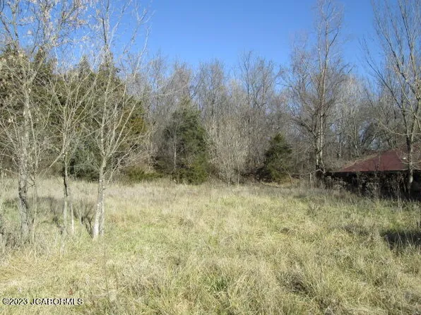 County Road 397, Hartsburg, MO 65039