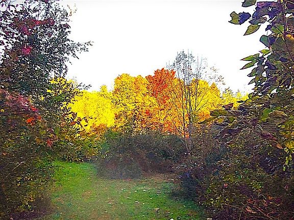 5th image of S/l 1a Arborwood Way