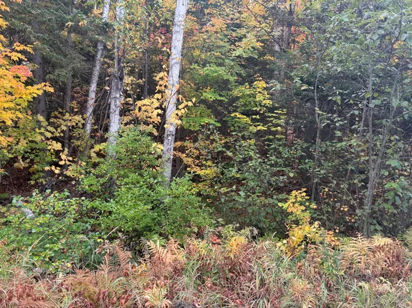 M7 L5 Bemis Road, Rangeley Plt, ME 04970