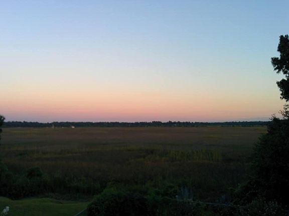 Marsh view out to the Ashley River