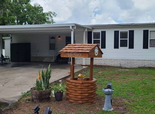 10702 Burrito Dr, Riverview, FL 33569