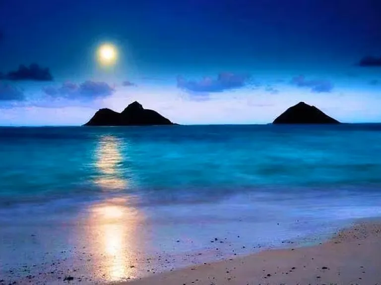 10 minute walk from apartment to the World Famous Kailua Beach