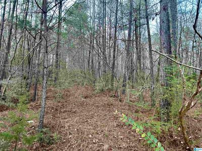 0 Hill St #1, Odenville, AL, 35120