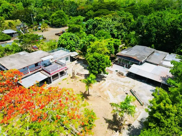 Carr 368 Bomachuchal, Sabana Grande, PR 00637