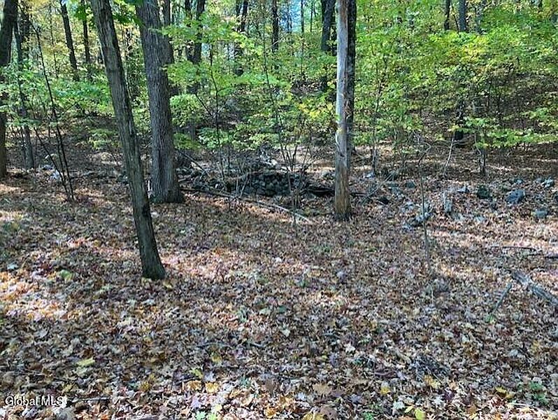 5th image of L4 Burden Lake Road Road