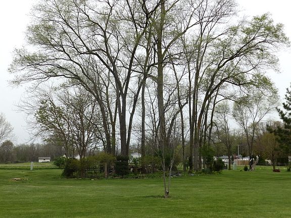 3rd image of 1023 Indianola Ave