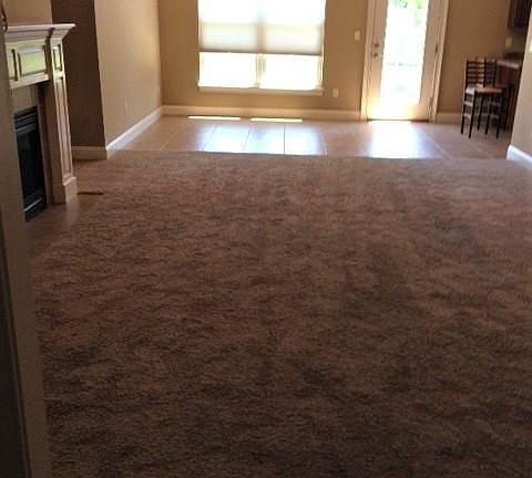 Living & Dining area