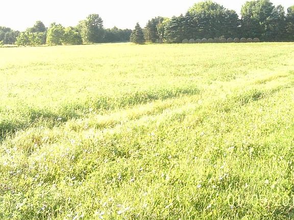 Nice Land