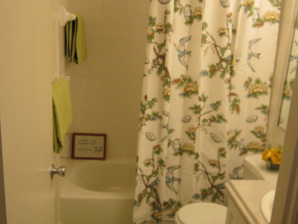 2nd image of 4 Phlox Cir APT G