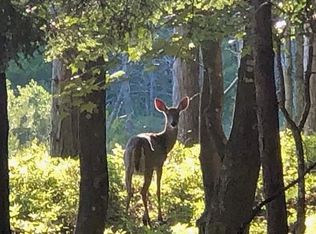 6157 W Davis Rd, Free Soil, MI 49411