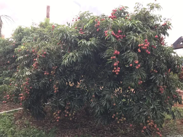 94-1100 Kunia Rd #45-B, Kapolei, HI 96707