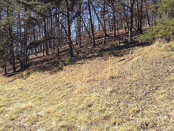 Game Trail
