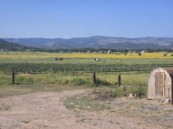 E Fleetwood Ave, Springerville, AZ 85938