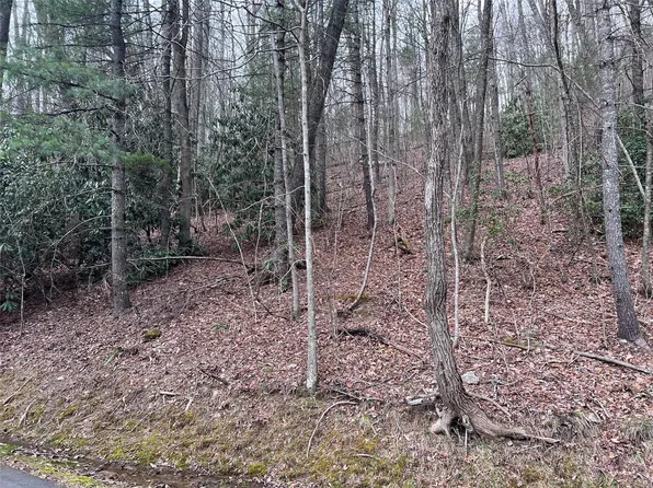 0 Lakeview Rd, Spruce Pine, NC 28777