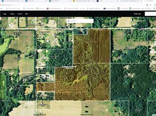 6396 S Saddler Rd, Chase, MI 49623