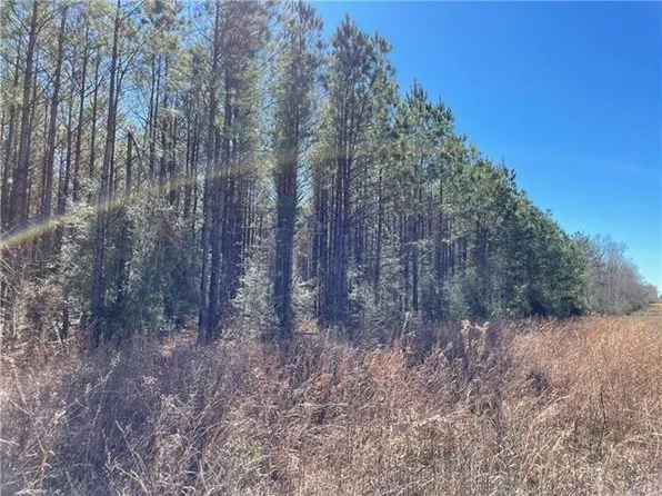 Cory Road Currier Ln, Loranger, LA 70446