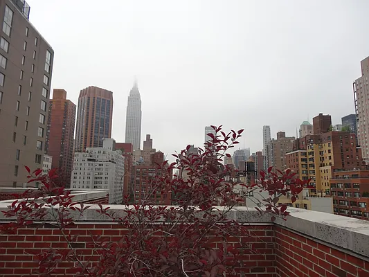 Sold by Nest Seekers International | media 5
