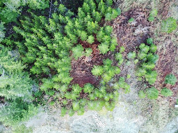 4th image of 604 Scout Lake Rd