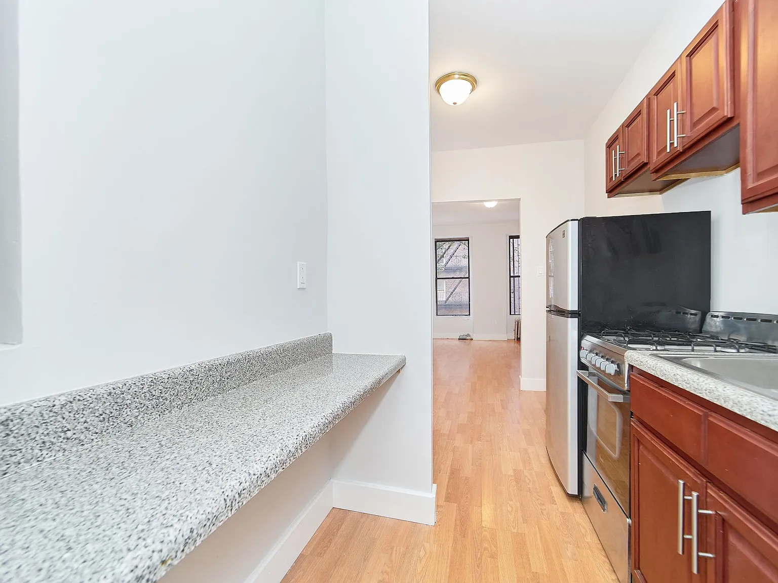 531 East 81st Street — Photo 4