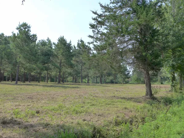 Tbd Finch Rd, Gilmer, TX 75645