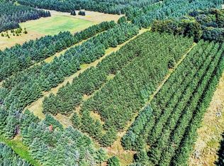 292XX 455th St, Perham, MN 56573