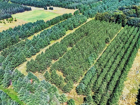 292XX 455th St, Perham, MN 56573