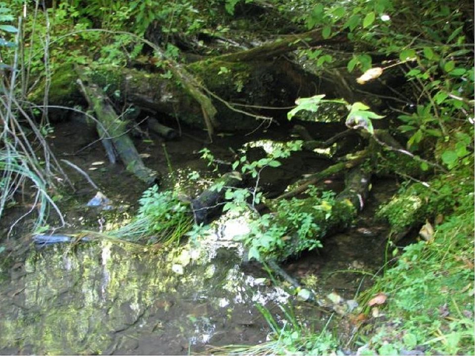 2nd image of LOT 8 Cross Mountain Rd